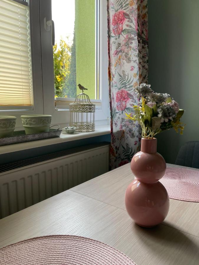 Domek Zielony Mielno  Dış mekan fotoğraf